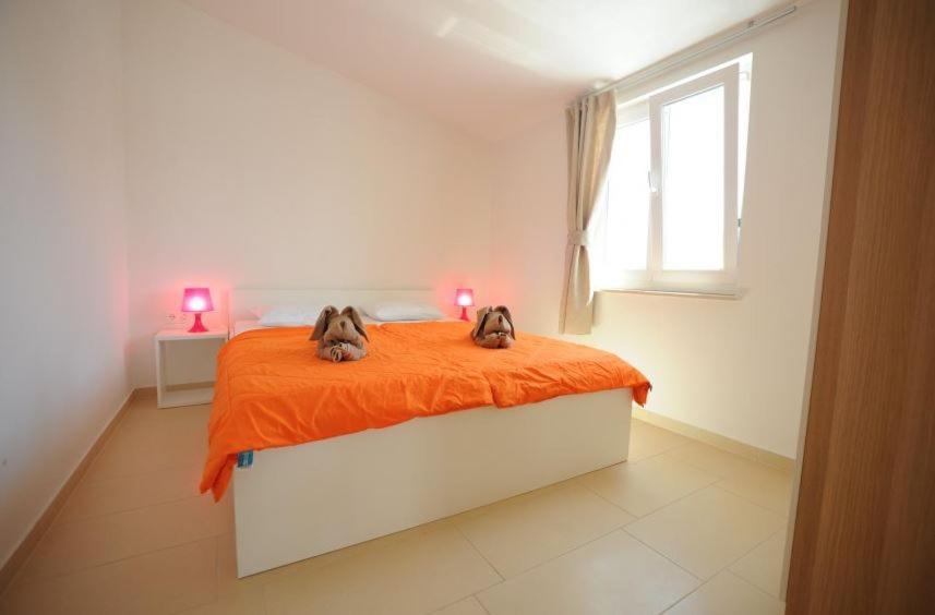 Graf-apartments-vir-zadar