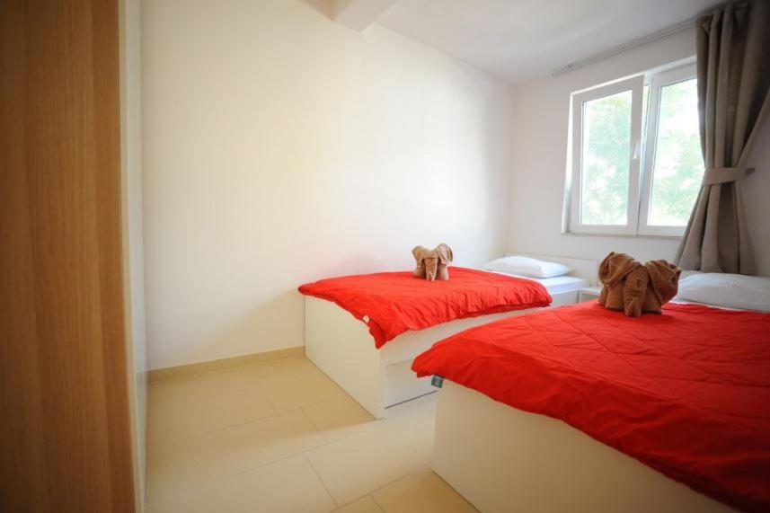 Graf-apartments-vir-zadar Vir